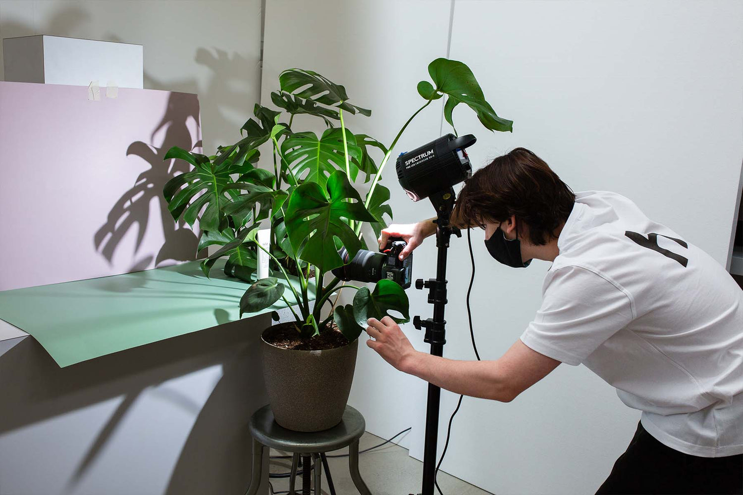 Top 6 DIY Home Lighting Setups for Professional Product Photography