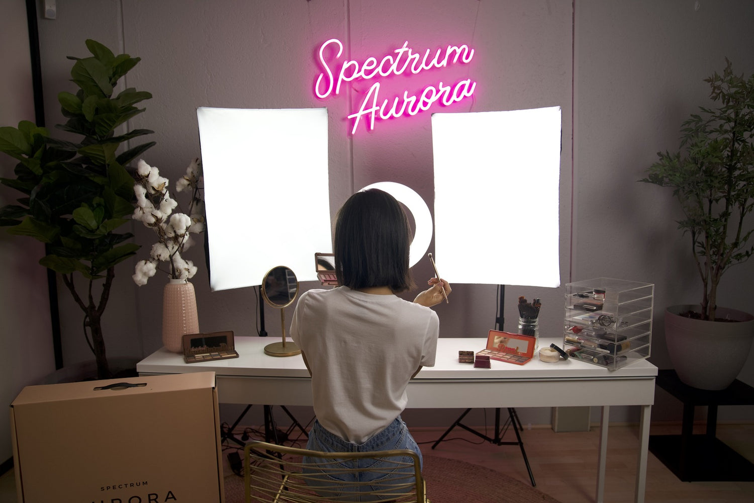 Professional Softbox Studio Lighting Kit