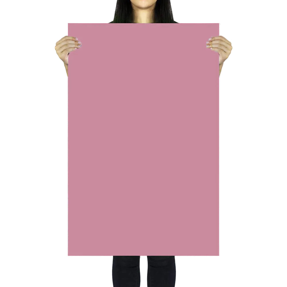 Flat Lay Instagram Multicolour Backdrop (56cm x 87cm) - Floristry Essentials - Bundle