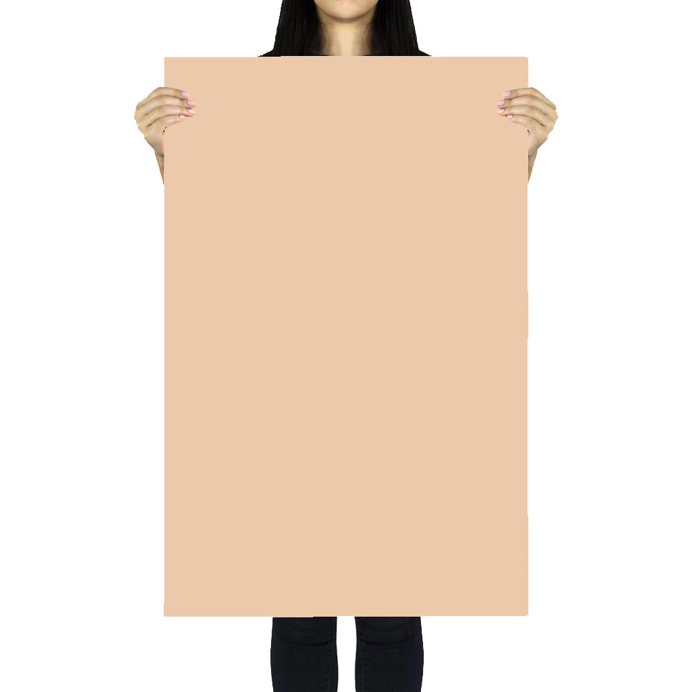 Flat Lay Instagram Multicolour Backdrop (56cm x 87cm) - Floristry Essentials - Bundle