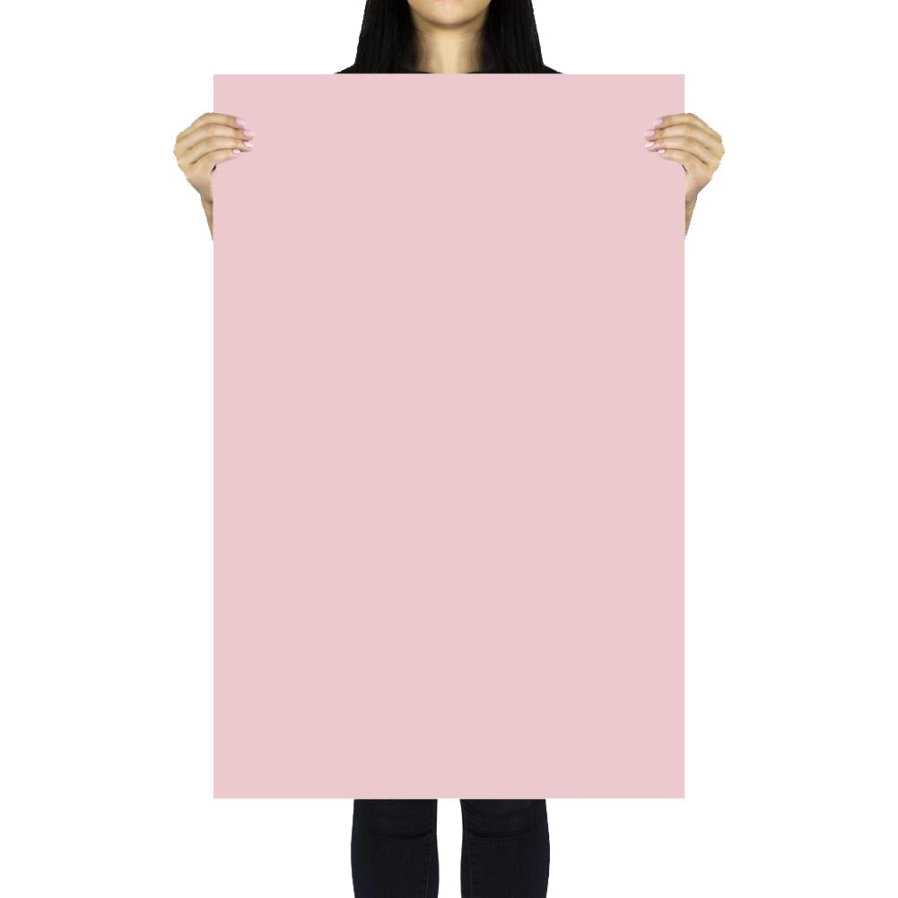 Flat Lay Instagram Multicolour Backdrop (56cm x 87cm) - Floristry Essentials - Bundle