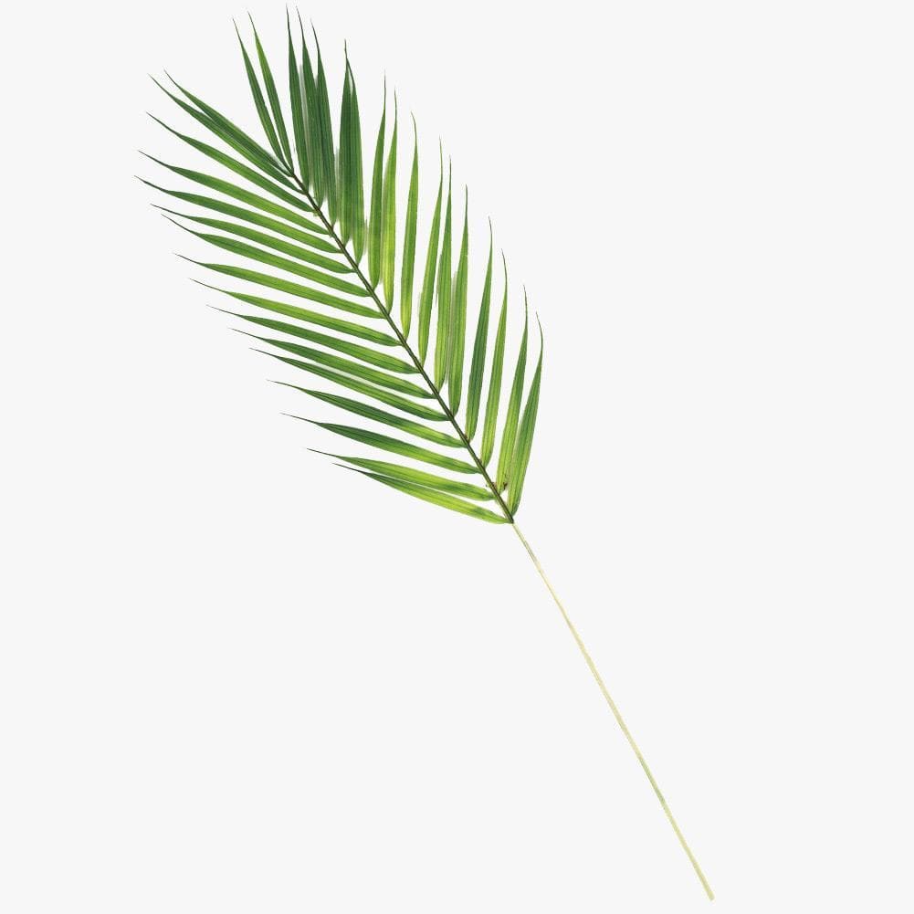 Artificial 64cm Palm Leaf Stem Photography Styling Prop