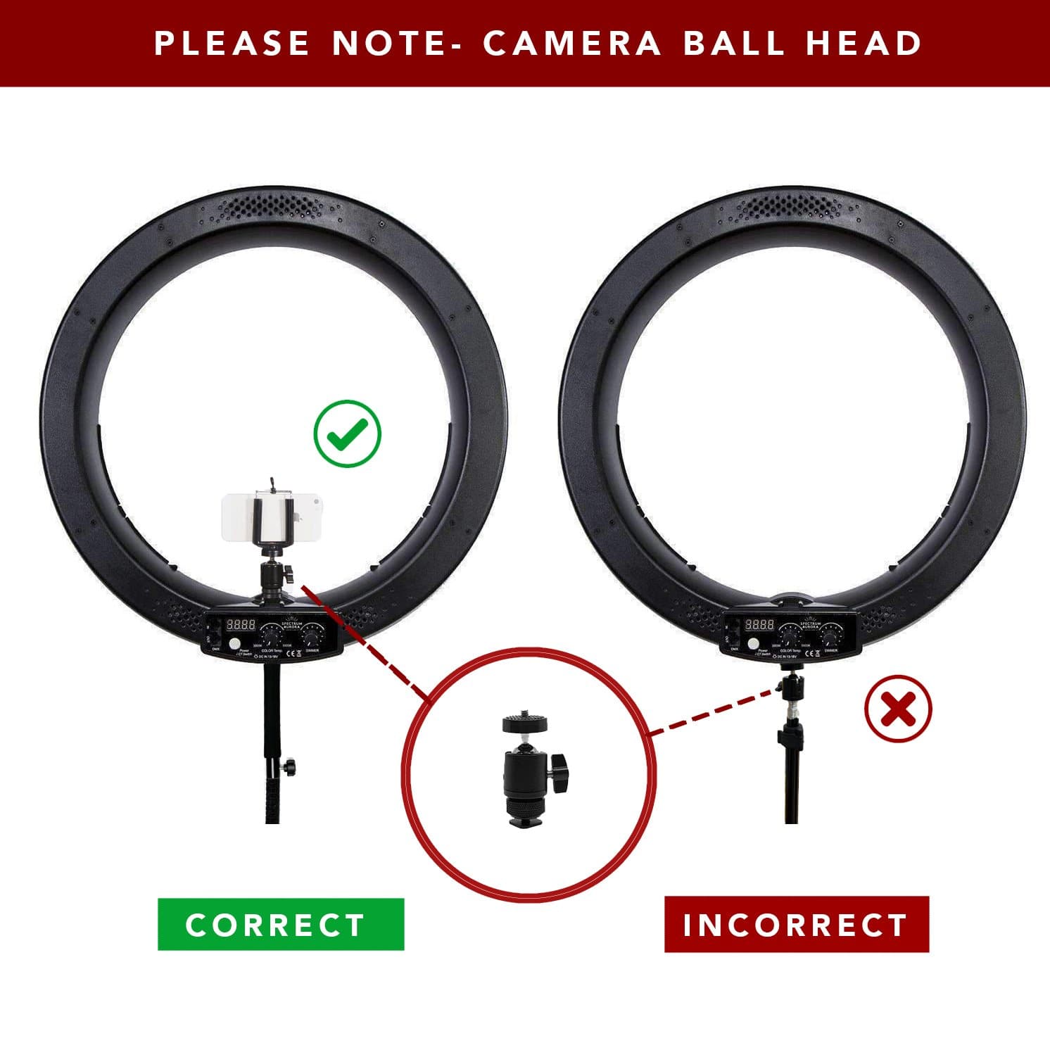 19" LED Ring Light - Gold Luxe II