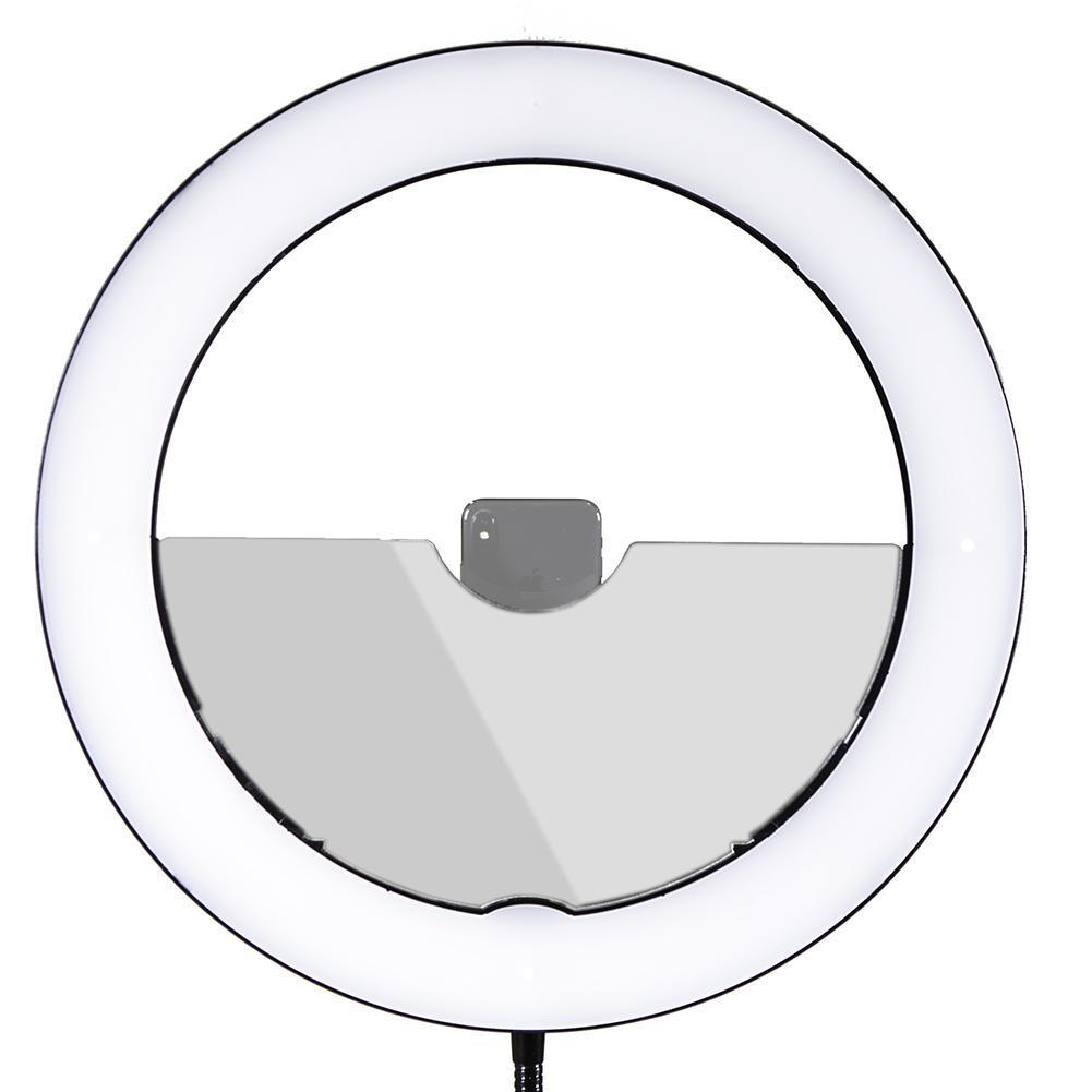 19" LED Ring Light - Gold Luxe II