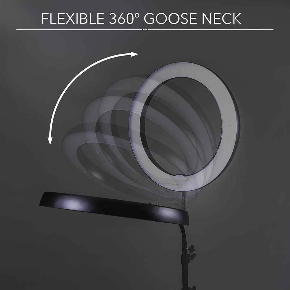 19" LED Ring Light - Gold Luxe II