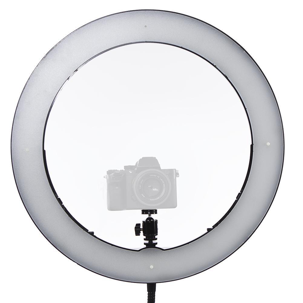 19" LED Ring Light - Gold Luxe II