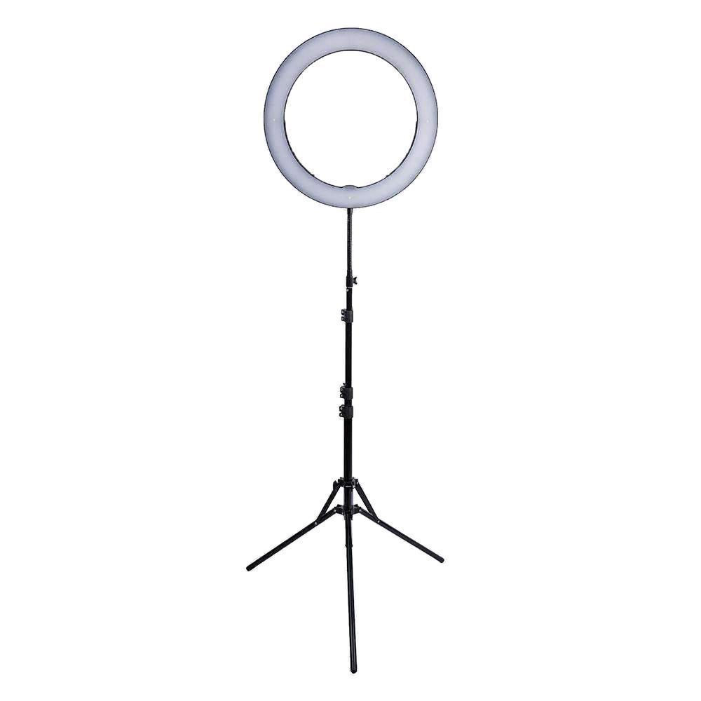 19" LED Ring Light - Gold Luxe II