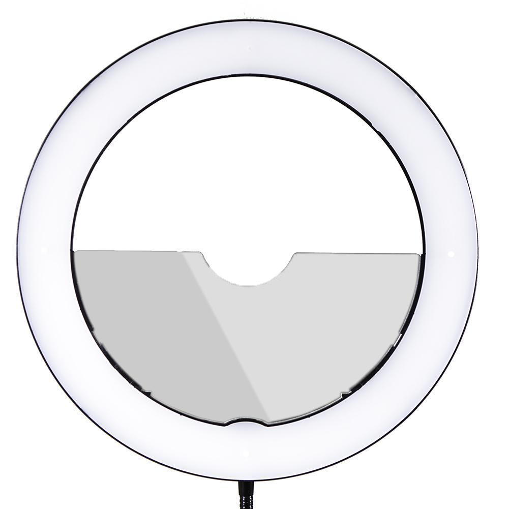 19" LED Ring Light - Gold Luxe II