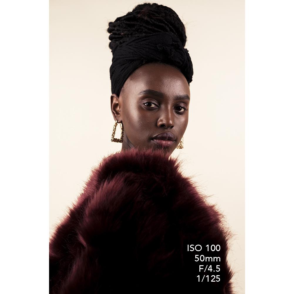 DUO 'S-Beam 150' LED Softbox Advanced Fashion Lookbook Lighting Kit - Spectrum-PRO - Bundle