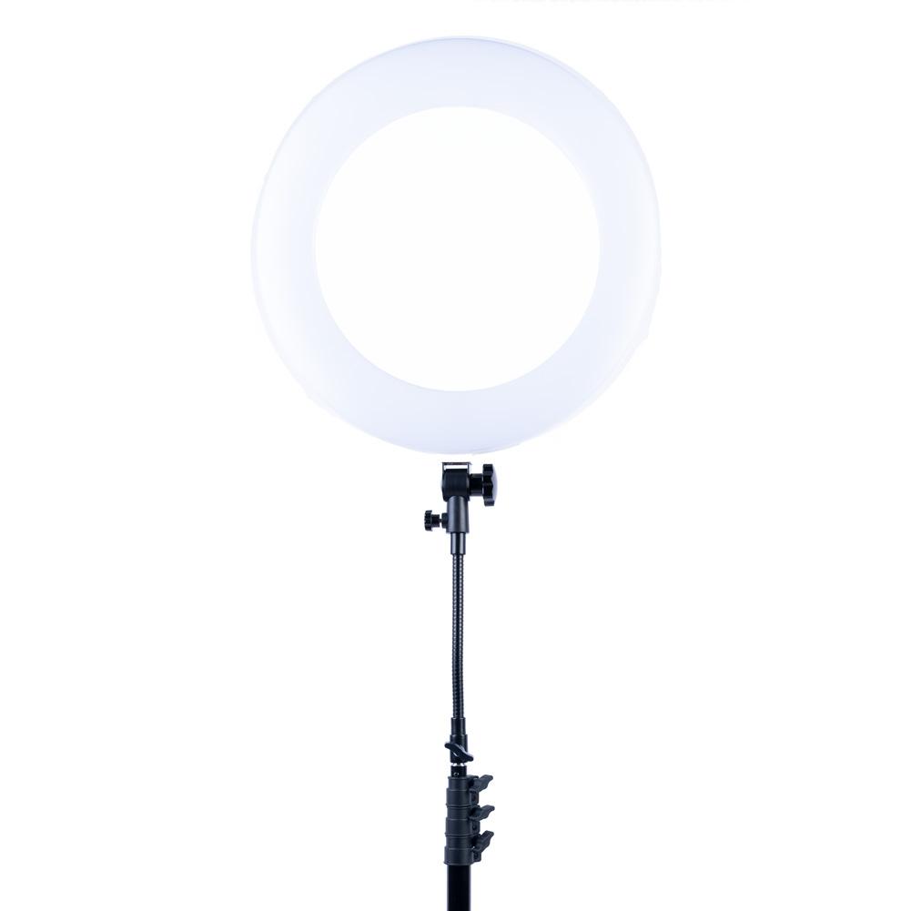 White 18" LED Ring Light & Remote - Gold Luxe III