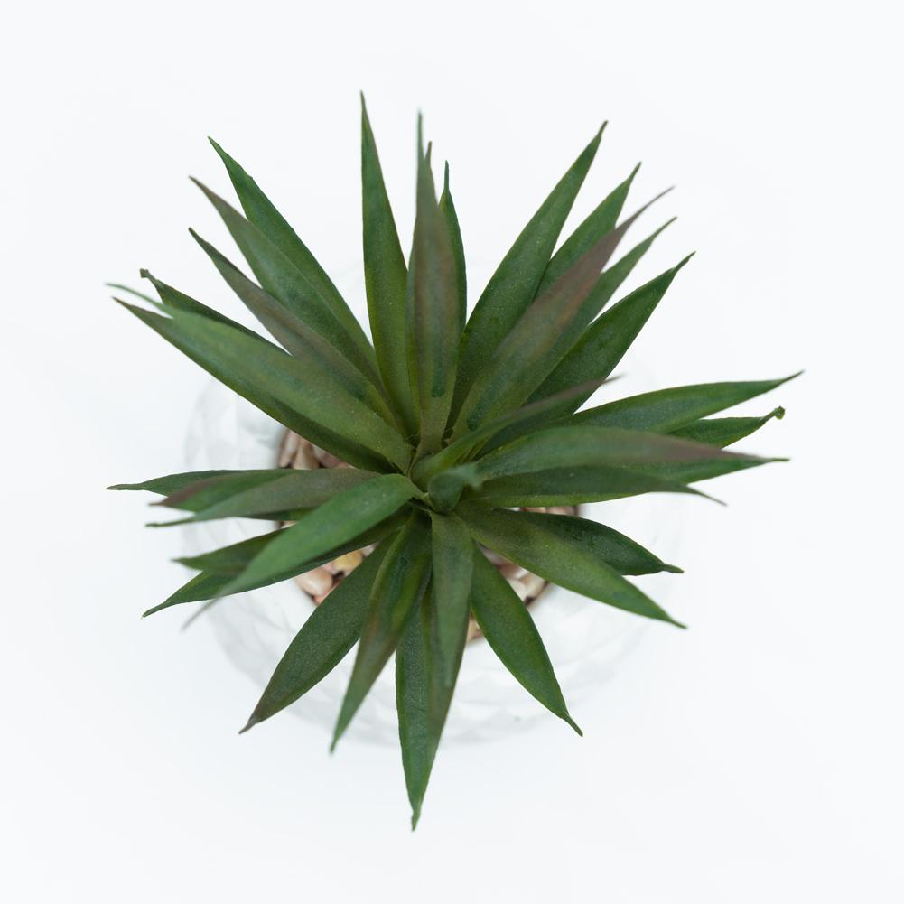 'STUDIO MATE' 16 Inch Foldable Product Photography LED Lighting Box (DEMO STOCK)