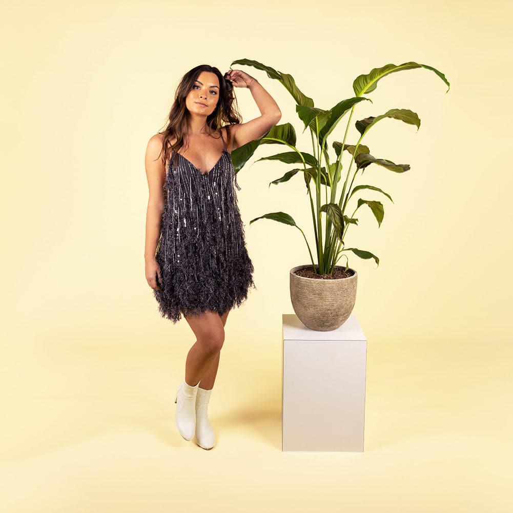 Paper Roll Photography Studio Backdrop Full Length (2.7 x 10M) - Vanilla Bean Ice Cream