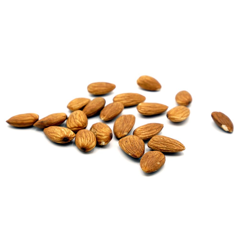 Tent 'STUDIO BUDDY' 31 Inch Foldable Product Photography LED Lighting Box