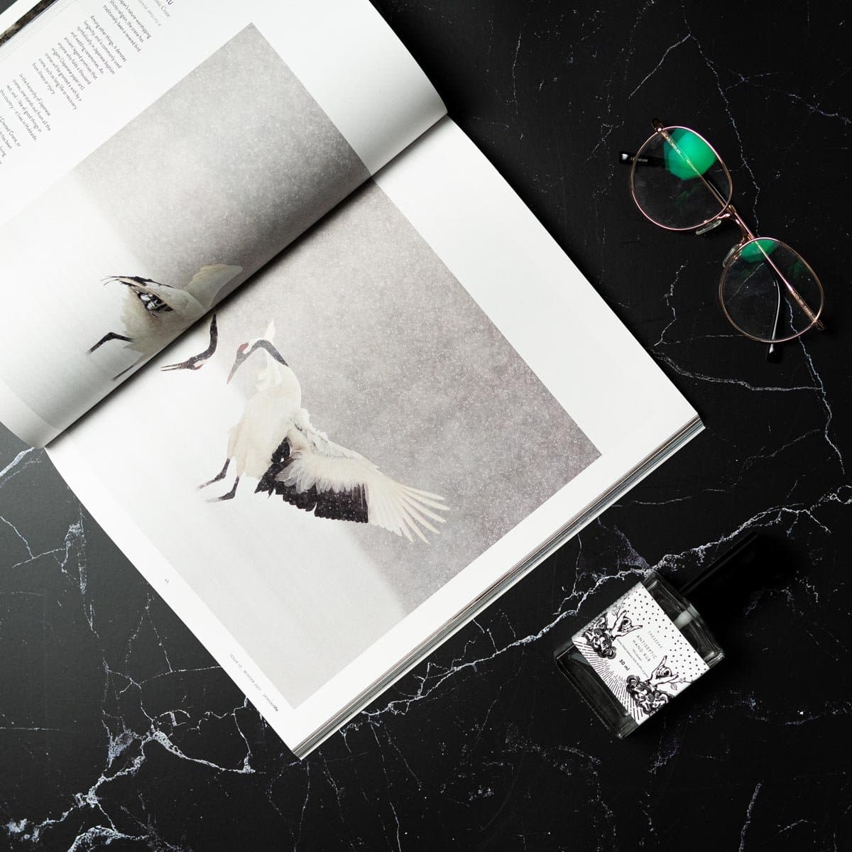 Flat Lay Instagram Backdrop - 'Paddington' Black Marble (56cm x 87cm)
