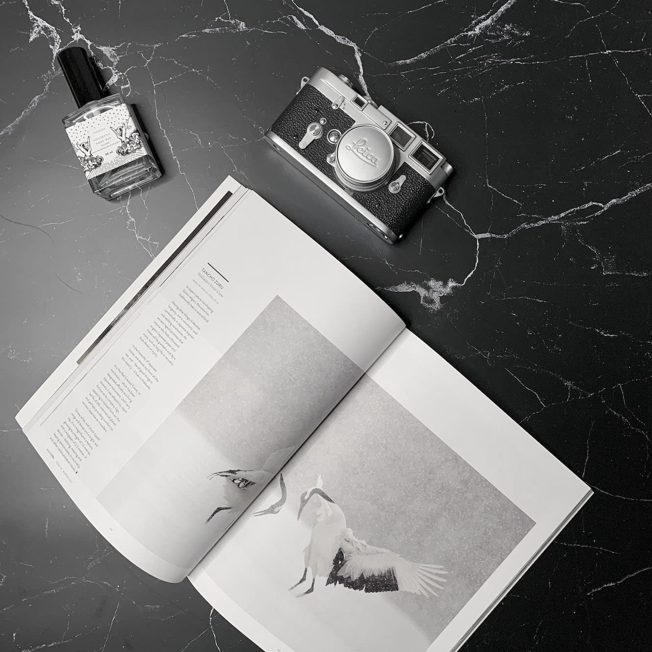 Flat Lay Instagram Backdrop - 'Paddington' Black Marble (56cm x 87cm)