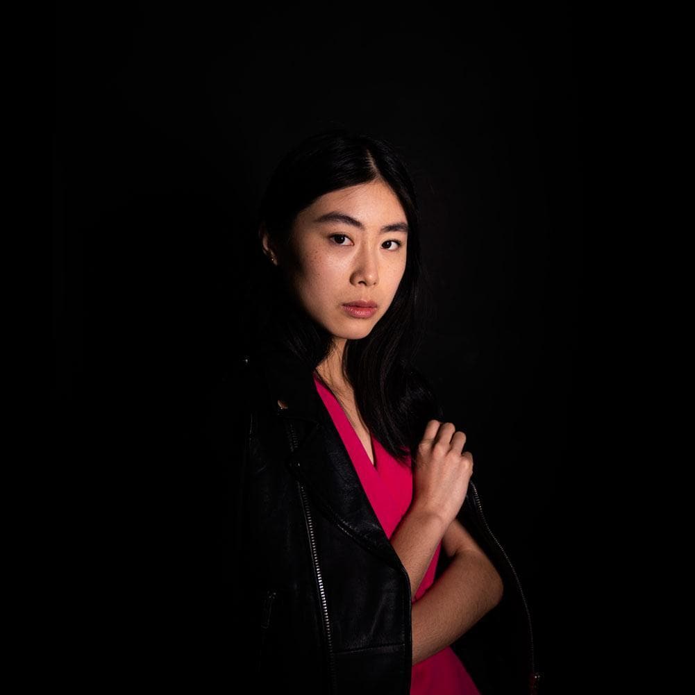 Godox LC500 LED Continuous Light Stick