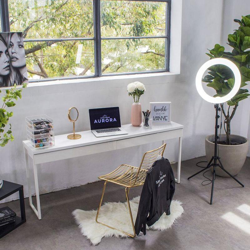 Spectrum Aurora 19" LED Ring Light Kit - Diamond Luxe I