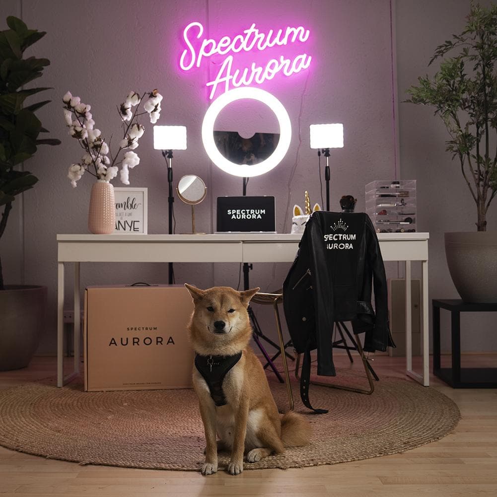 Aurora Gold Luxe Ring Light 3 Point LED 'YouTube Pro Kit'
