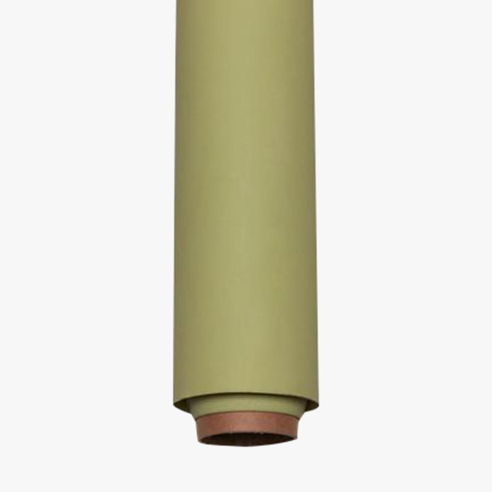 Paper Roll Photography Studio Backdrop Full Length (2.7 x 10M) - Smashed Avocado Green