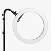 Premium Youtube Lighting Platinum Pro II Ring Light and Crystal Luxe LED Lights Kit