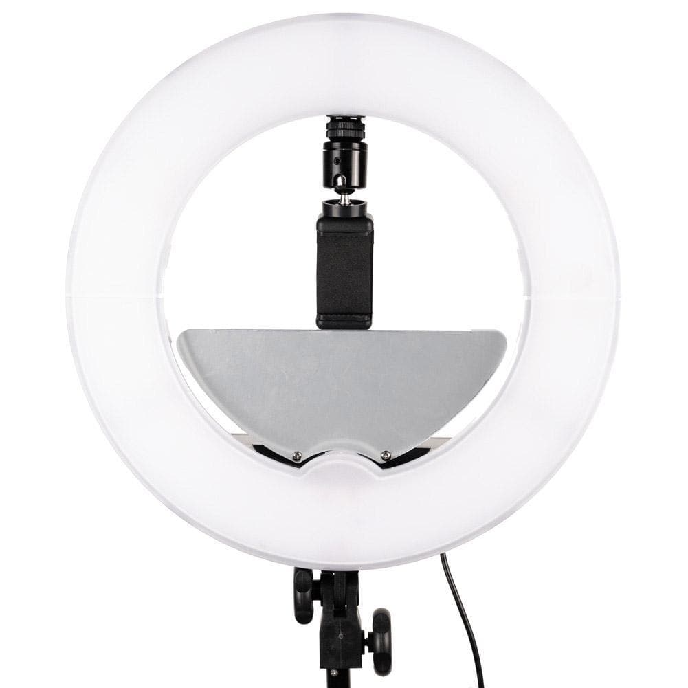 Blogger & Vlogger 13" Ring Light & Softbox Kit - Spectrum Aurora Mini Pearl III