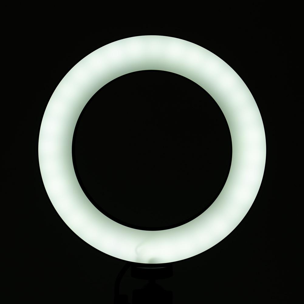 6" Ring Light LED Table Kit - Inner Artist