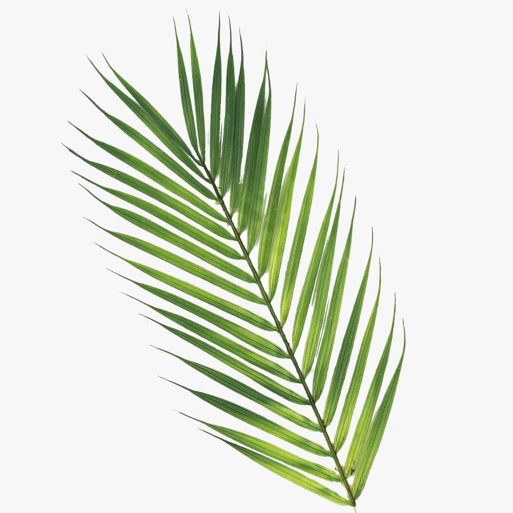Artificial 64cm Palm Leaf Stem Photography Styling Prop