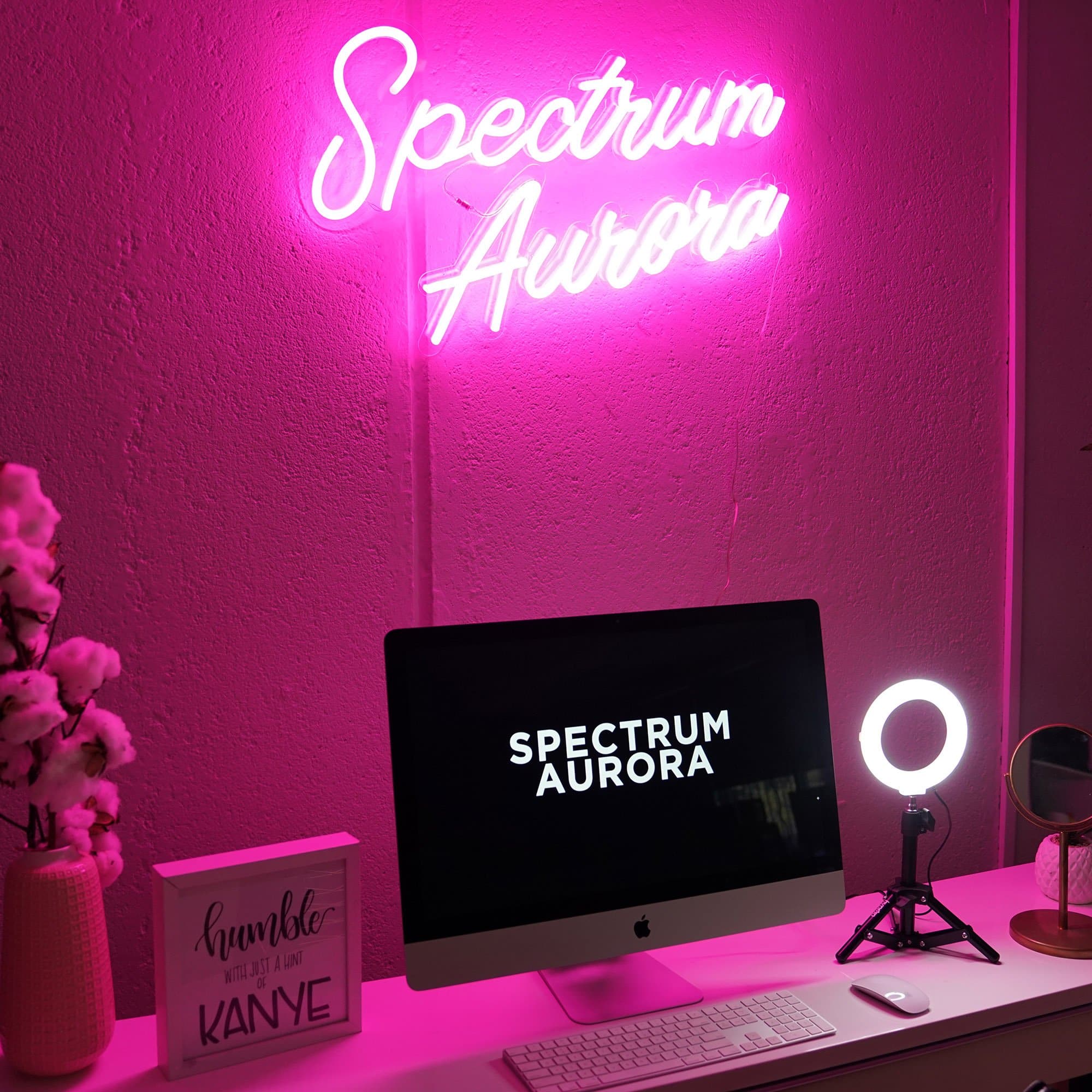 Spectrum Aurora 6.5" White LED Ring Light Kit - Ariel