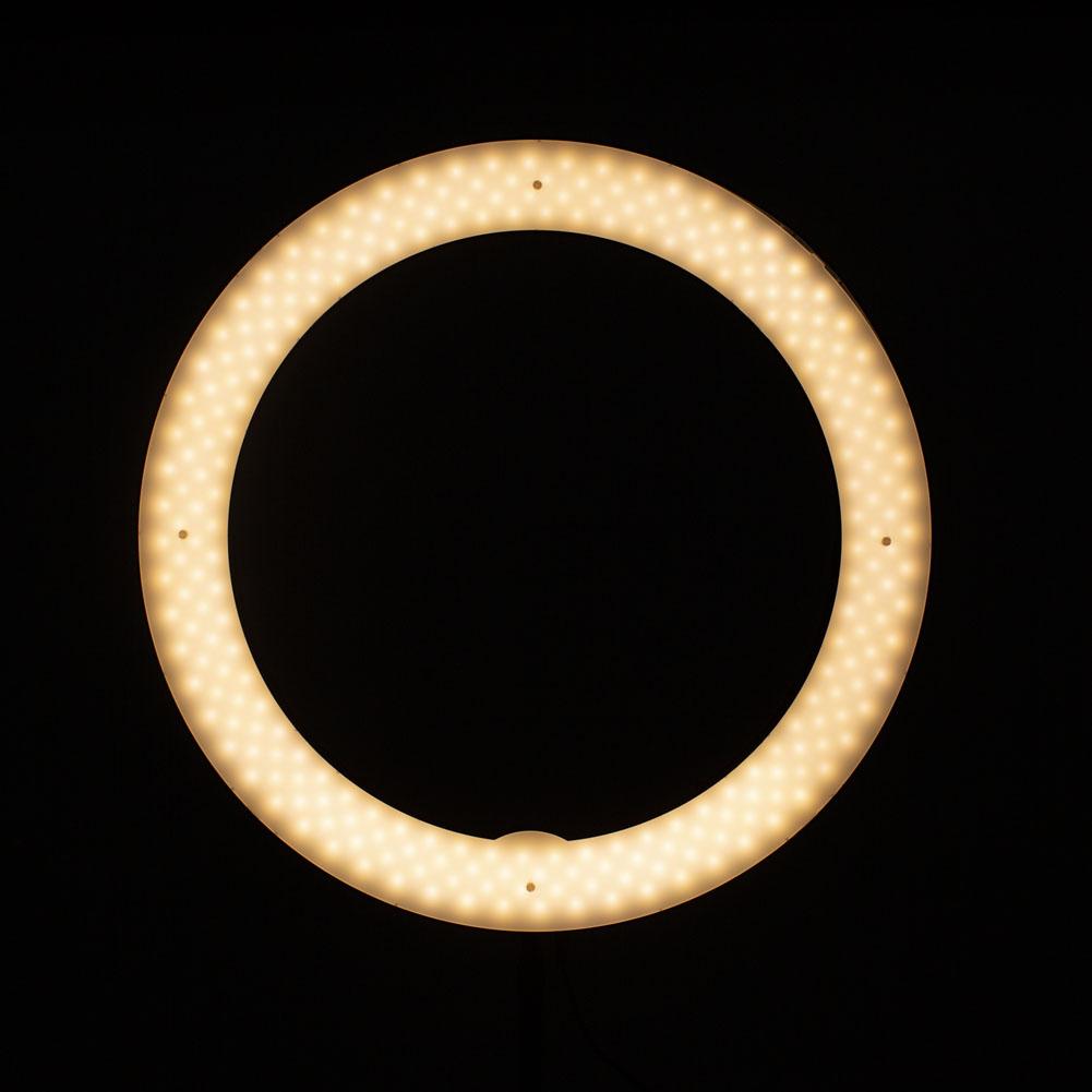 19" LED Ring Light - Gold Luxe II
