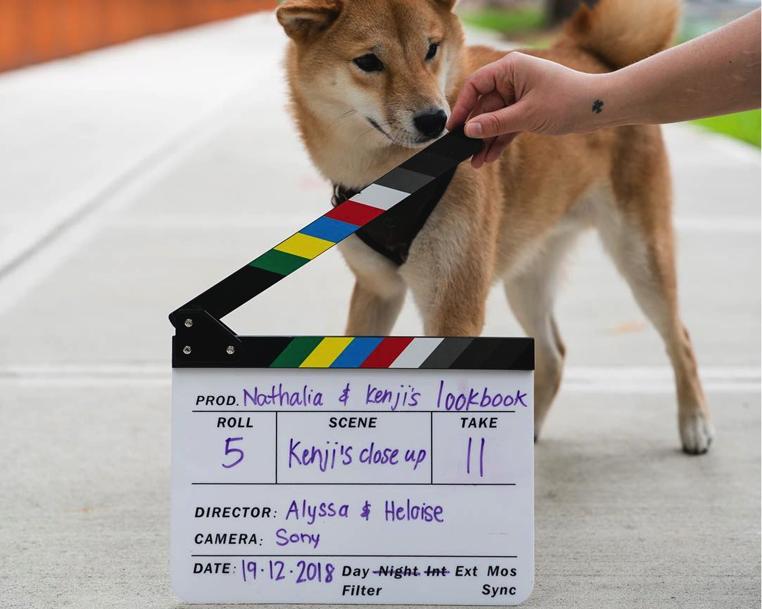 Production Slate Director’s Cut Production Clap Clapper Slate Board for Video Filming