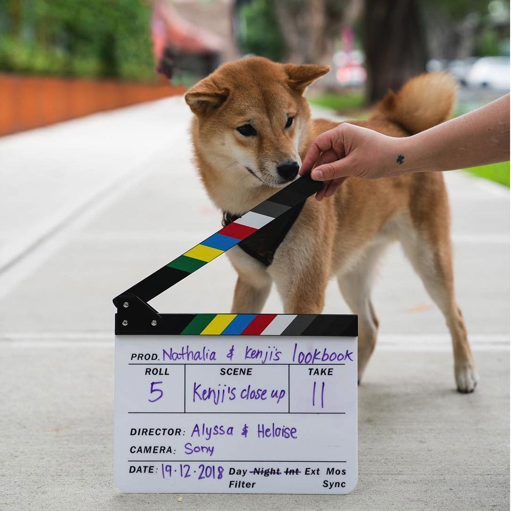 Director’s Filming Production Clap Board