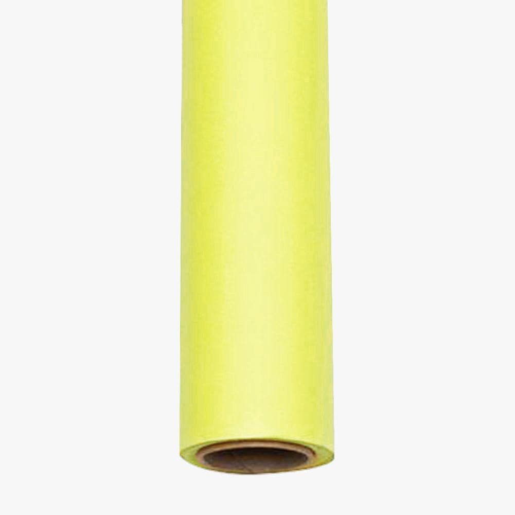 Paper Roll Photography Studio Backdrop Full Length (2.7 x 10M) - Lemon Lime Splice Green